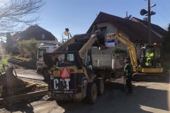 MY-TREES-sazeni-Beloky-00146