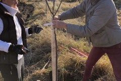 MY-TREES-sazeni-Beloky-00147