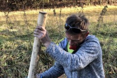 MY-TREES-sazeni-Beloky-00156