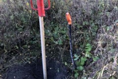 MY-TREES-sazeni-Beloky-00157