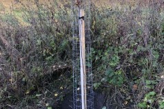 MY-TREES-sazeni-Beloky-00158