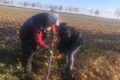 MY-TREES-sazeni-Beloky-00164