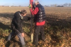 MY-TREES-sazeni-Beloky-00174