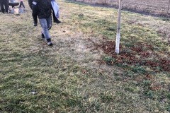 MY-TREES-sazeni-Beloky-00185