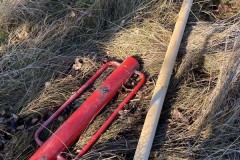 MY-TREES-sazeni-Beloky-00186