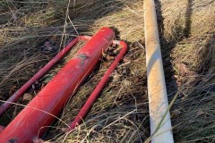 MY-TREES-sazeni-Beloky-00191