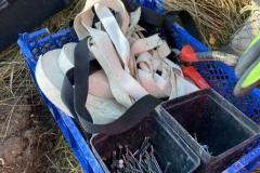 MY-TREES-sazeni-Beloky-00192