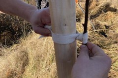 MY-TREES-sazeni-Beloky-00201