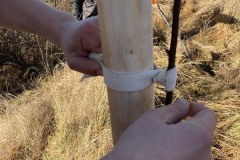 MY-TREES-sazeni-Beloky-00203