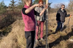 MY-TREES-sazeni-Beloky-00205