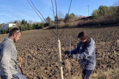 MY-TREES-sazeni-Beloky-00206