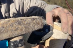 MY-TREES-sazeni-Beloky-00214