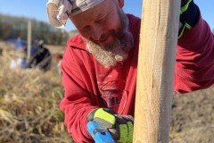 MY-TREES-sazeni-Beloky-00217