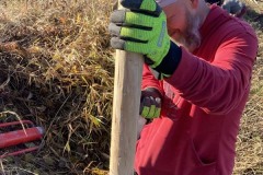 MY-TREES-sazeni-Beloky-00219