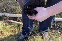 MY-TREES-sazeni-Beloky-00225