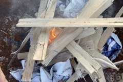 MY-TREES-sazeni-Beloky-00233