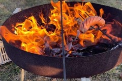 MY-TREES-sazeni-Beloky-00236