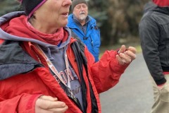 MY-TREES-sazeni-Neurazy-00148