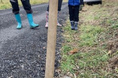 MY-TREES-sazeni-Neurazy-00166