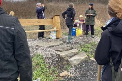 MY-TREES-sazeni-Neurazy-00168