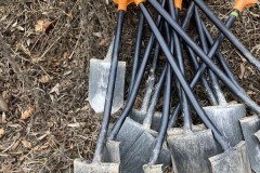 MY-TREES-sazeni-Neurazy-00171