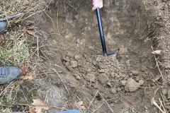 MY-TREES-sazeni-Neurazy-00172