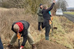 MY-TREES-sazeni-Neurazy-00173