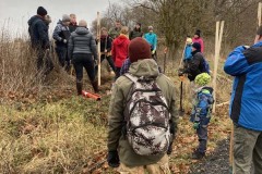 MY-TREES-sazeni-Neurazy-00178