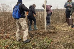 MY-TREES-sazeni-Neurazy-00179