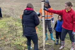 MY-TREES-sazeni-Neurazy-00182