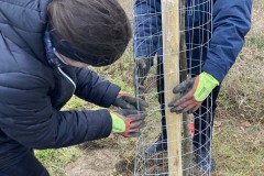 MY-TREES-sazeni-Neurazy-00183