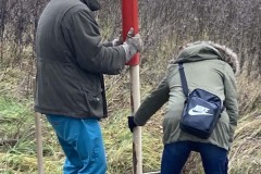 MY-TREES-sazeni-Neurazy-00188