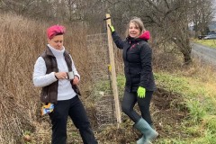 MY-TREES-sazeni-Neurazy-00192