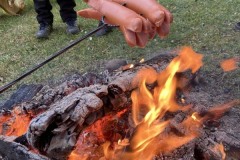 MY-TREES-sazeni-Neurazy-00195