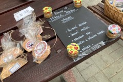 MY-TREES-sazeni-Neurazy-00196