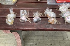 MY-TREES-sazeni-Neurazy-00197