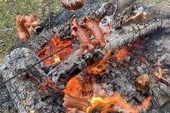 MY-TREES-sazeni-Neurazy-00198