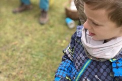 MY-TREES-sazeni-Neurazy-00203