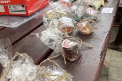 MY-TREES-sazeni-Neurazy-00204