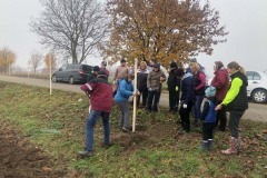 MY-TREES-sazeni-Senice-na-hane-00146