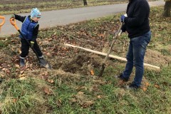 MY-TREES-sazeni-Senice-na-hane-00148