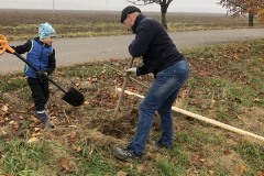 MY-TREES-sazeni-Senice-na-hane-00149