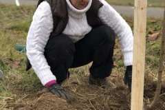 MY-TREES-sazeni-Senice-na-hane-00153