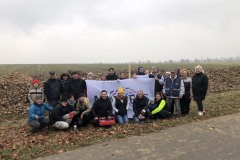 MY-TREES-sazeni-Senice-na-hane-00155