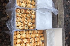 MY-TREES-sazeni-Senice-na-hane-00162