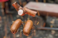 MY-TREES-sazeni-Senice-na-hane-00164