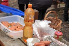 MY-TREES-sazeni-Senice-na-hane-00165