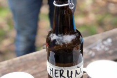 MY-TREES-sazeni-Senice-na-hane-00169