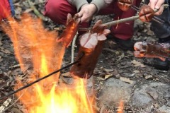 MY-TREES-sazeni-Senice-na-hane-00170