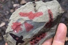 MY-TREES-sazeni-Senice-na-hane-00172